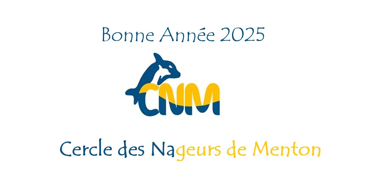 BONNE ANNÉE 2025